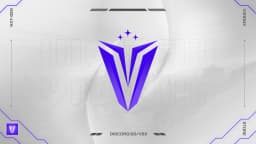 VisionX